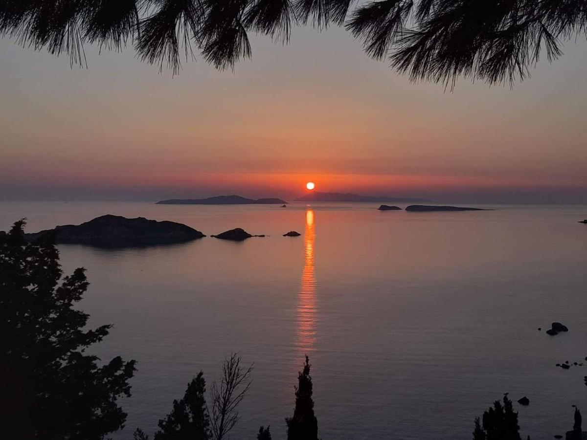 Villa Christine Afionas Corfu Luaran gambar